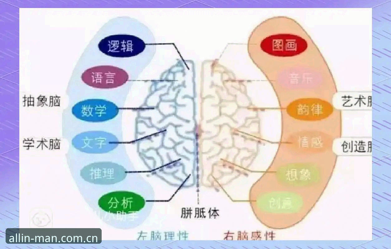 4大维度深度对比：万博体育平台入口选择指南与3项创新安全方案